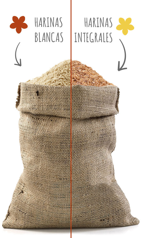 Harinas Blancas vs Harinas Integrales